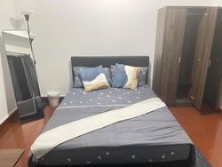 The Springfield (D16), Terrace #630250481